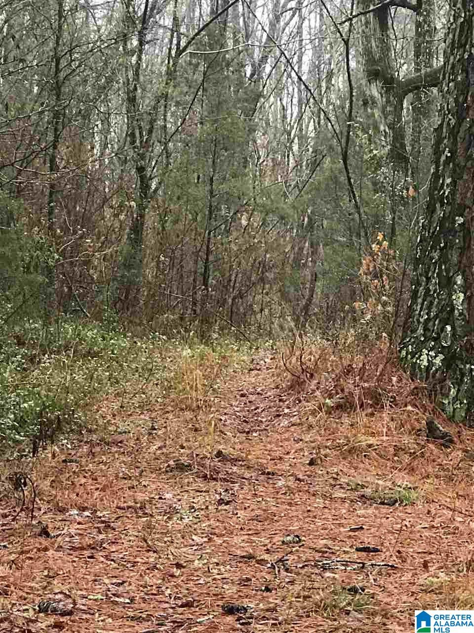0 Maddox Road, Unit 1 Pell City, AL 35125 - Photo 6 of 10