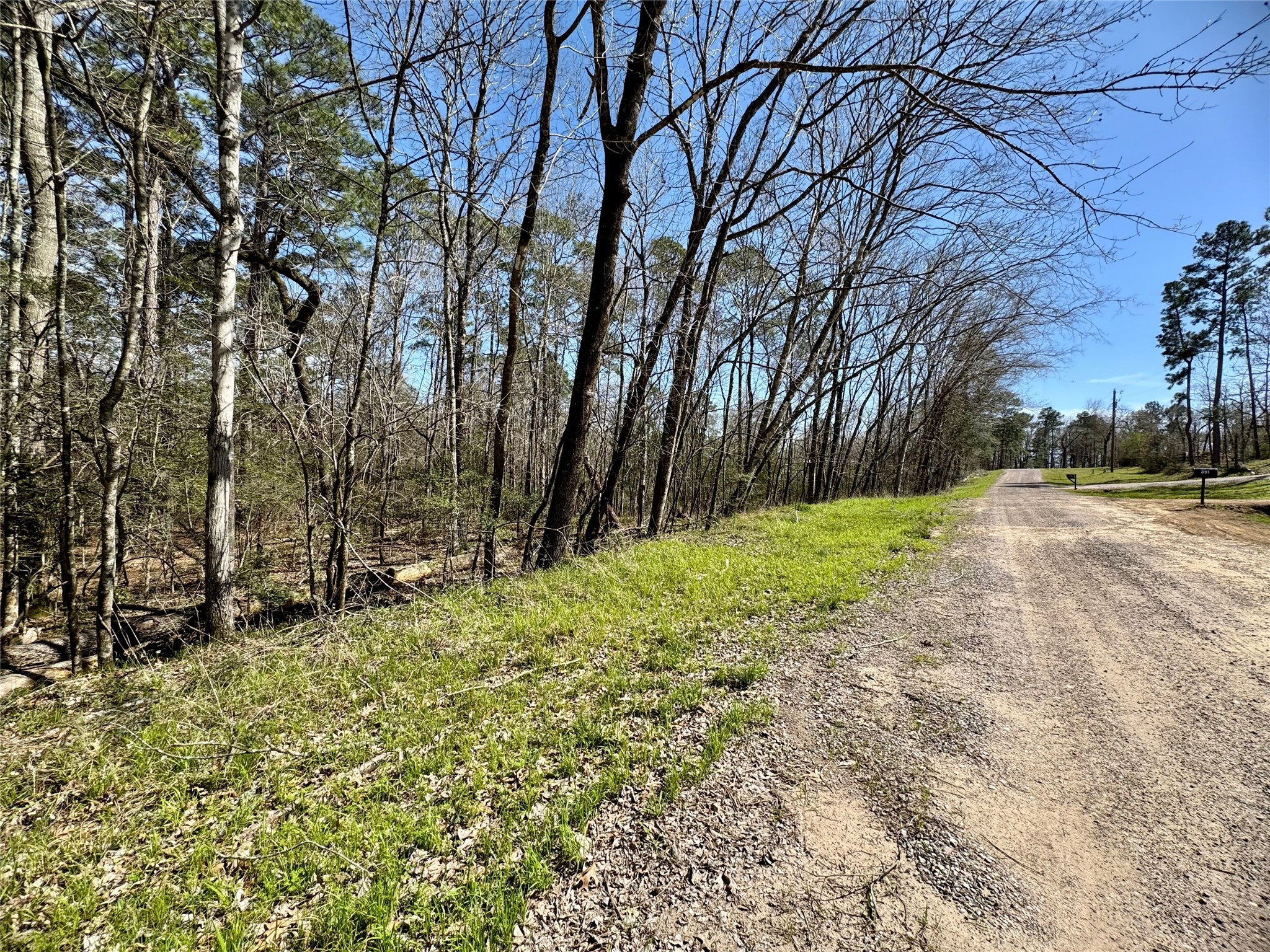 0 Saddle Surrey Road Coldspring, TX 77331 - Photo 2 of 8 a view of backyard of house with green space