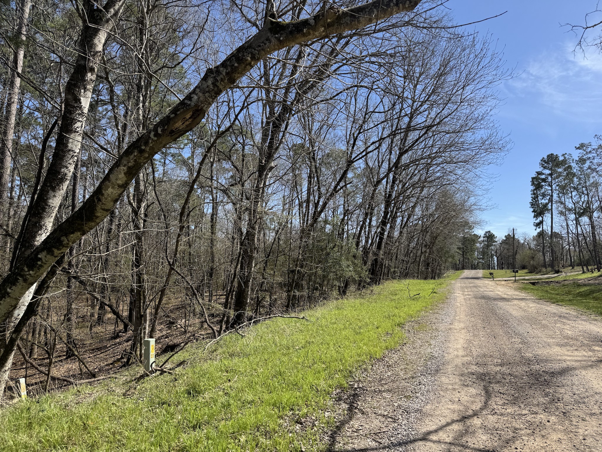 0 Saddle Surrey Road Coldspring, TX 77331 - Photo 3 of 8 a backyard of a house with lots of green space