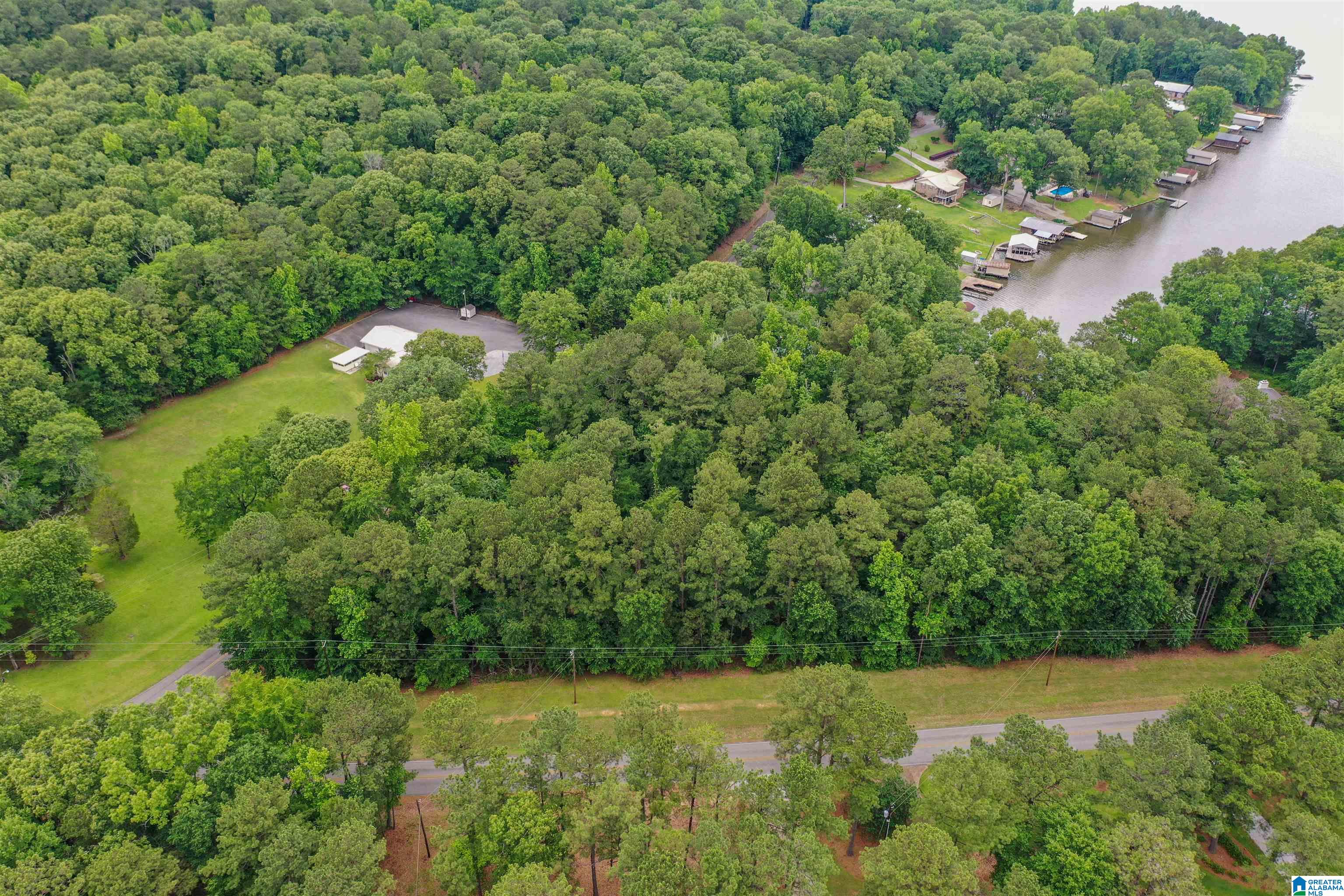 Marina Road Shelby, AL 35143 - Photo 5 of 18