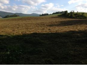 Lot 7 Dry Hollow Road Elizabethton, TN 37643 - Photo 1 of 1 Photo 1