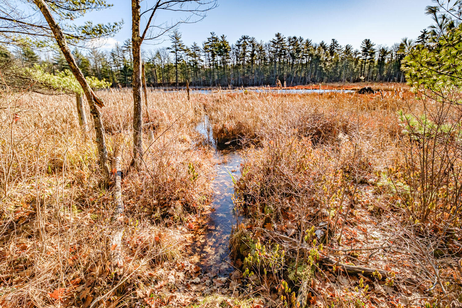 280 Spring Water Road Poland, ME 04274 - Photo 60 of 63 20201124gp-60065