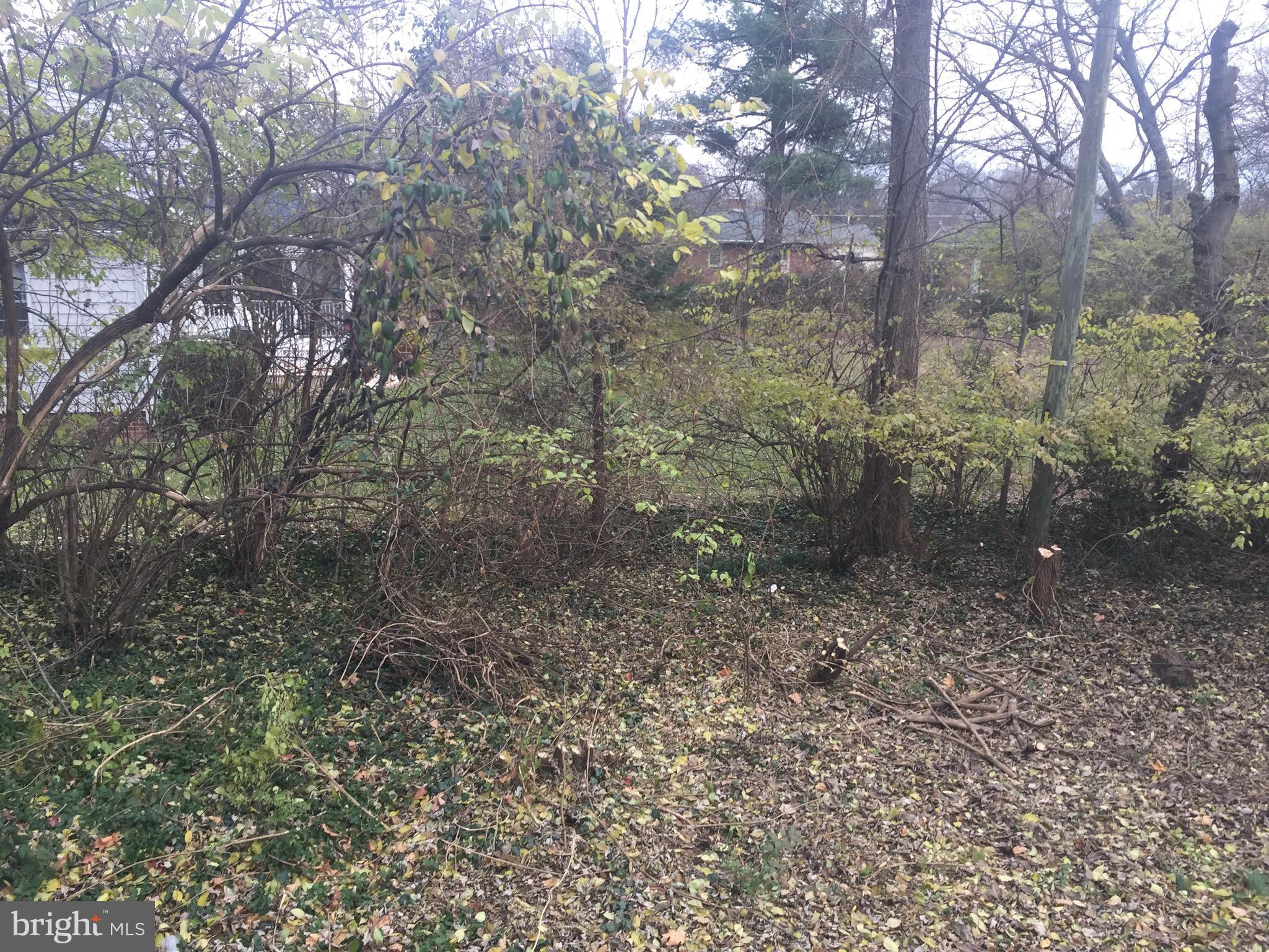 9101 Sudley Road Manassas, VA 20110 - Photo 16 of 16 a view of a forest with trees in the background