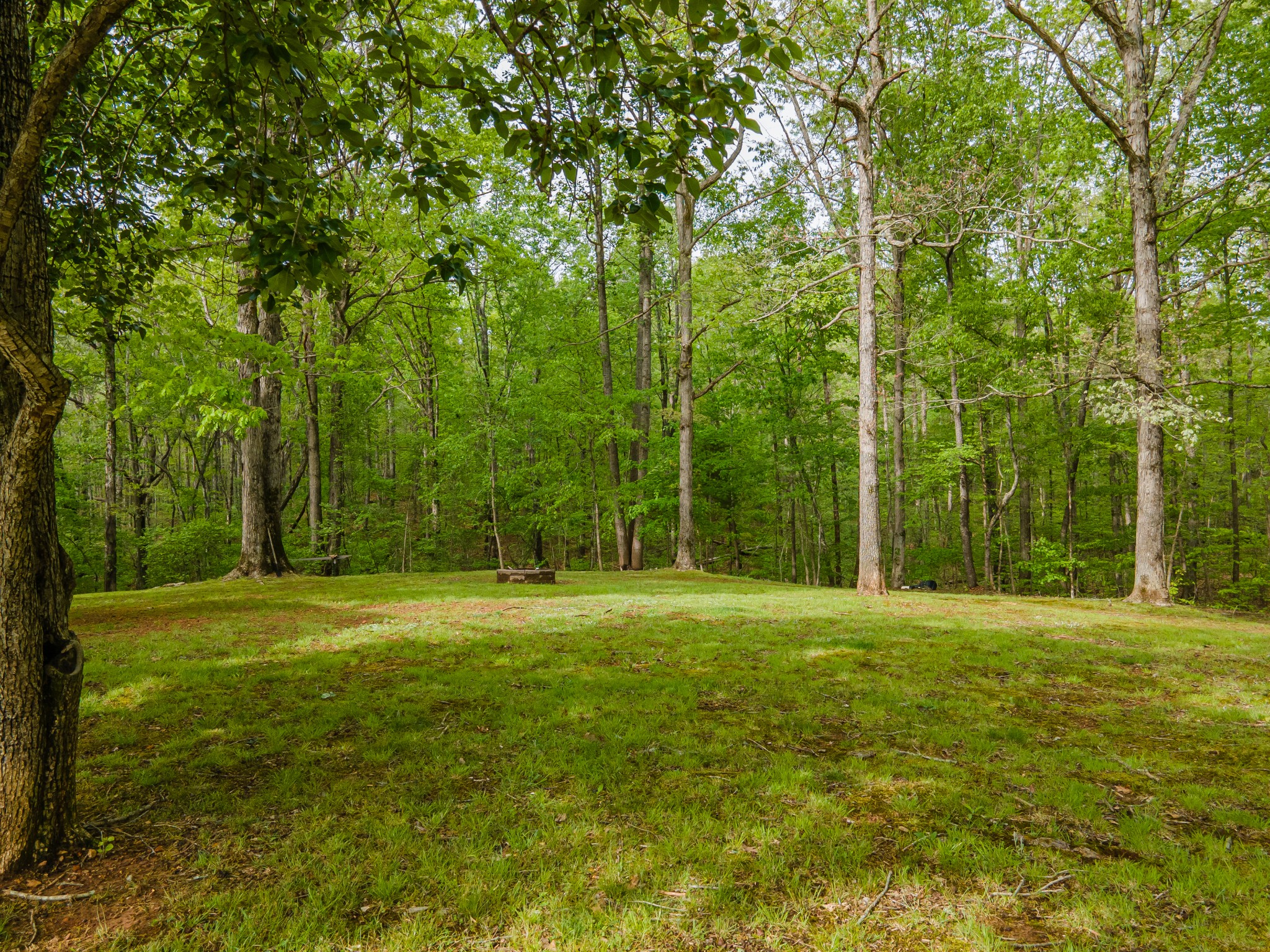 7651 Pinewood Road Nunnelly, TN 37137 - Photo 19 of 69 Gallery Image 19