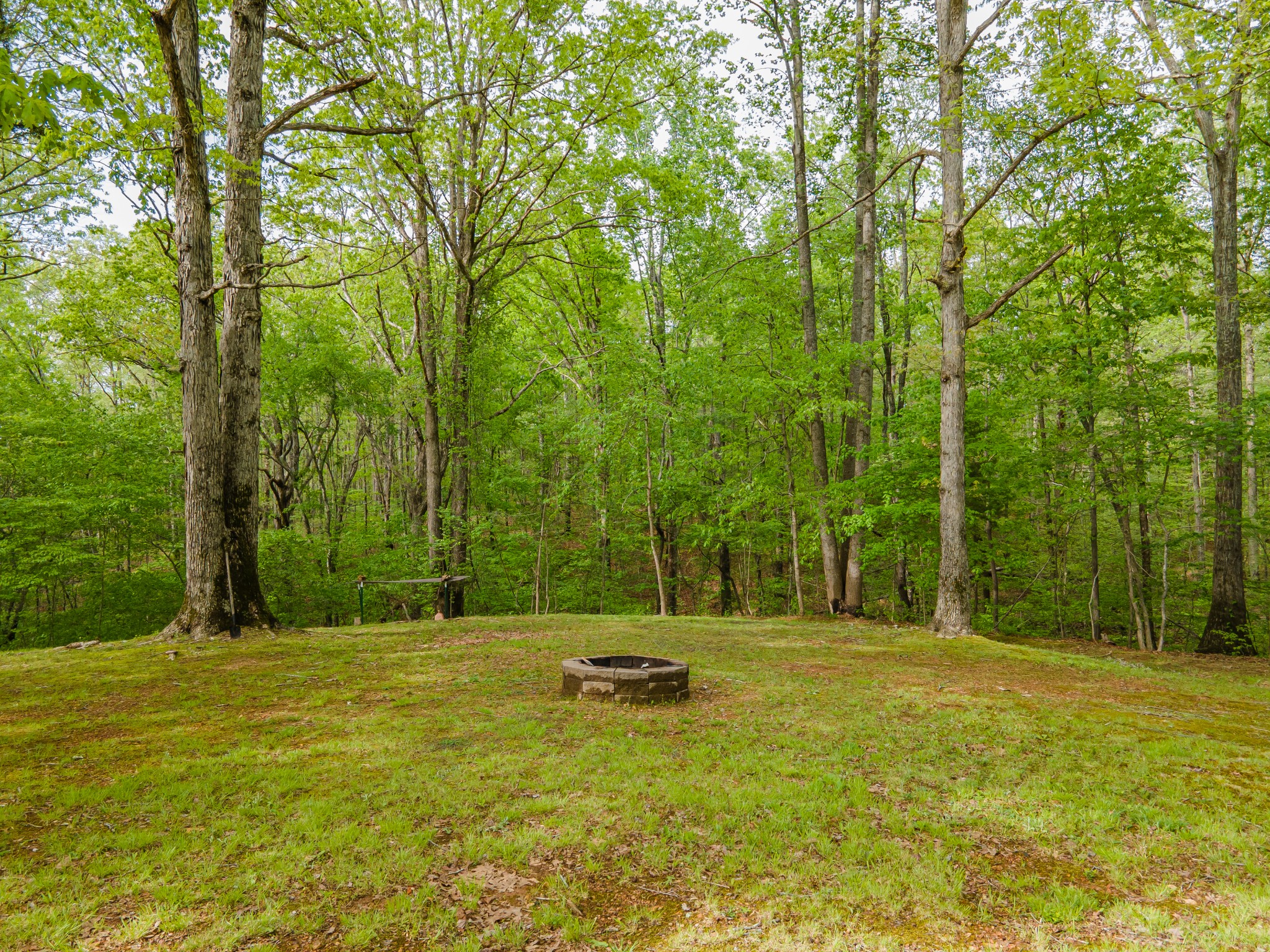 7651 Pinewood Road Nunnelly, TN 37137 - Photo 21 of 69 Gallery Image 21