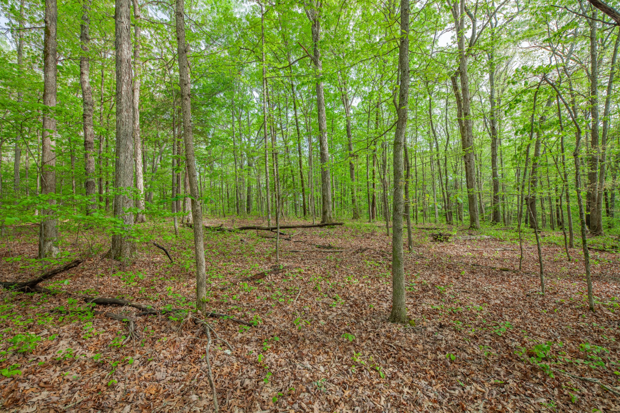 7651 Pinewood Road Nunnelly, TN 37137 - Photo 25 of 69 Gallery Image 25