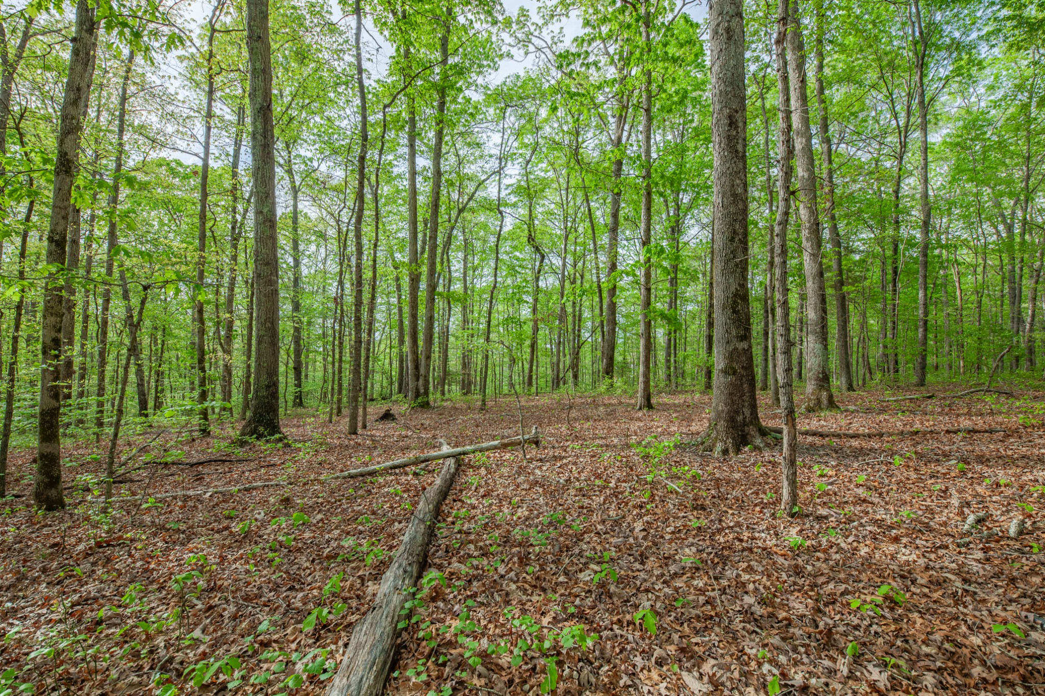 7651 Pinewood Road Nunnelly, TN 37137 - Photo 31 of 69 Gallery Image 31