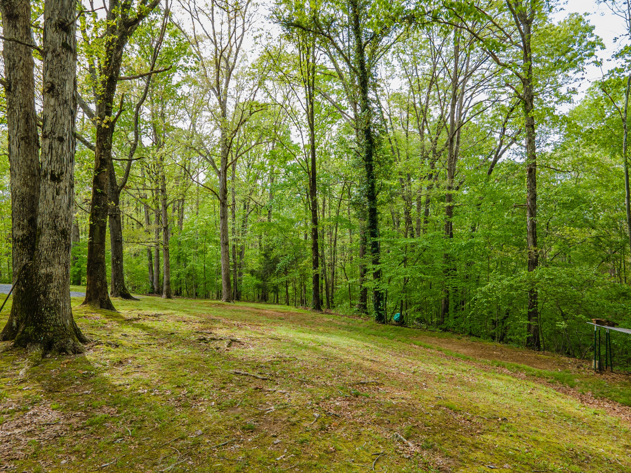 7651 Pinewood Road Nunnelly, TN 37137 - Photo 32 of 69 Gallery Image 32