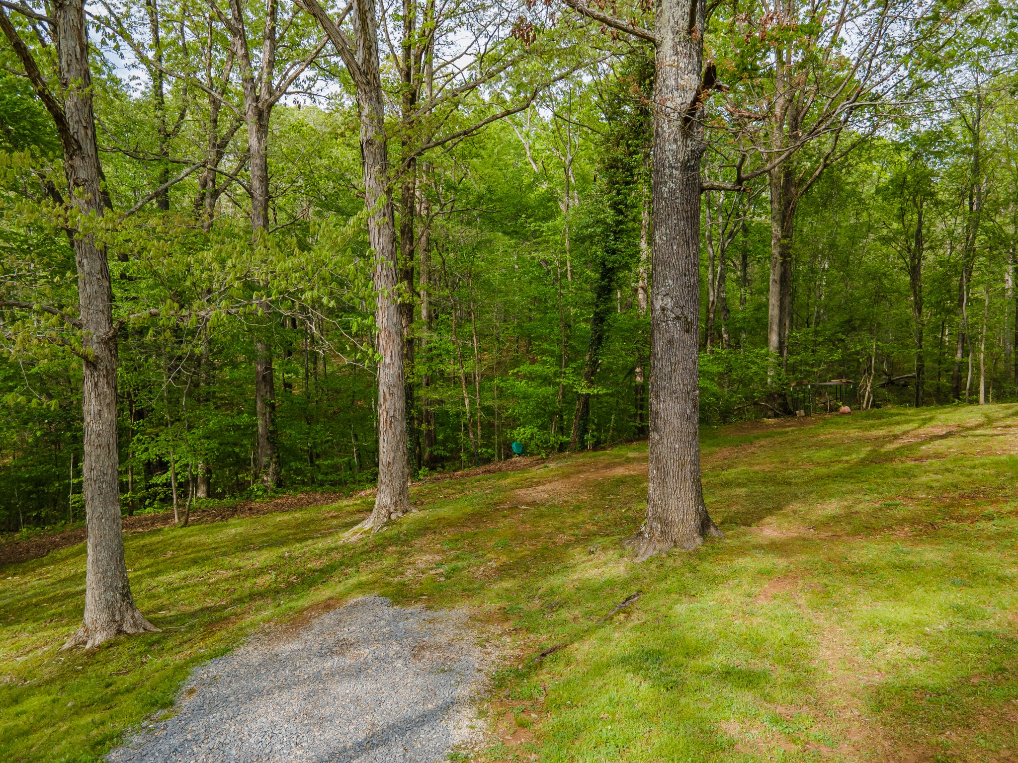7651 Pinewood Road Nunnelly, TN 37137 - Photo 65 of 69 Gallery Image 65