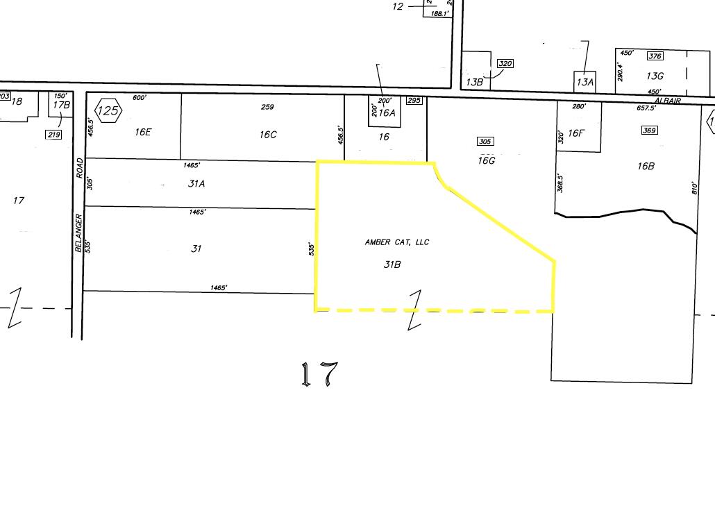 L51-b & 31b Belanger Road Caribou, ME 04736 - Photo 8 of 8 Highlighted Tax Map (3)
