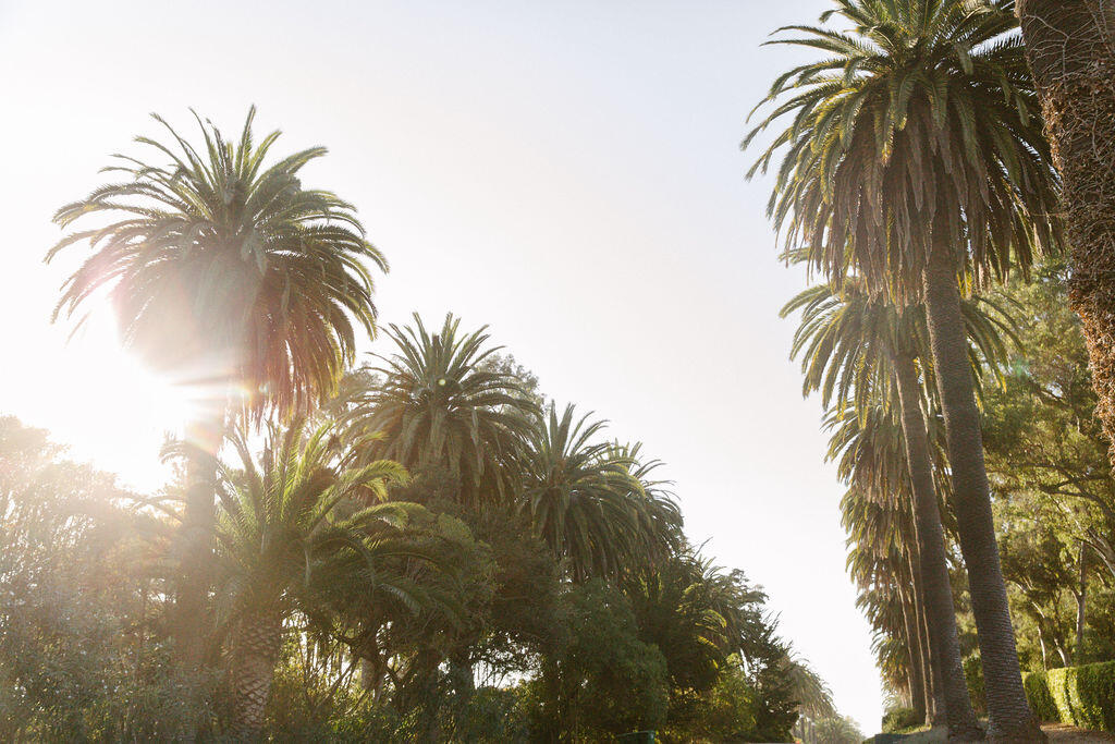 4140 Marina Drive Santa Barbara, CA 93110 - Photo 26 of 80 IL0A8222