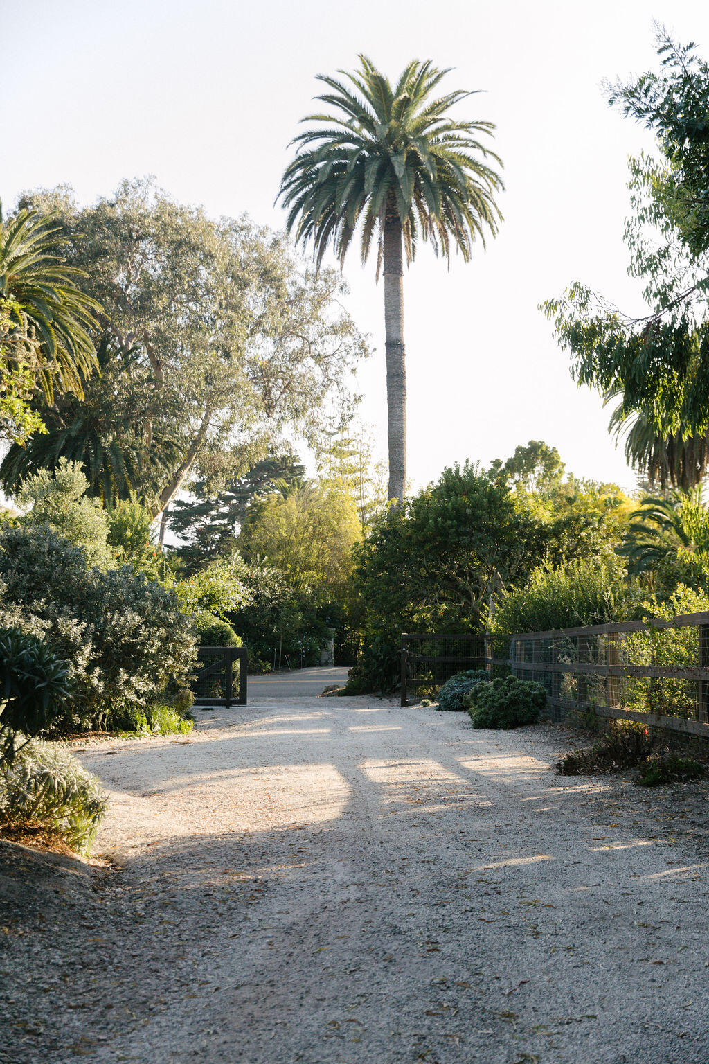 4140 Marina Drive Santa Barbara, CA 93110 - Photo 31 of 80 IL0A8209