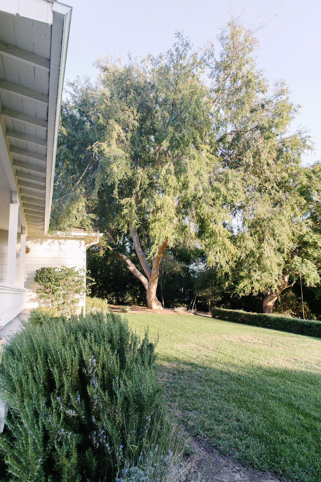 4140 Marina Drive Santa Barbara, CA 93110 - Photo 52 of 80 IL0A8354