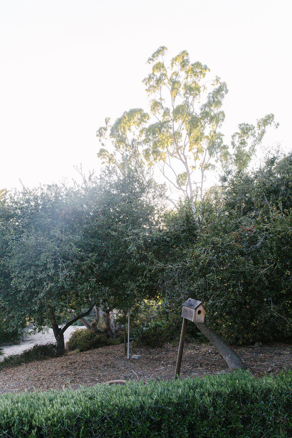 4140 Marina Drive Santa Barbara, CA 93110 - Photo 53 of 80 IL0A8355