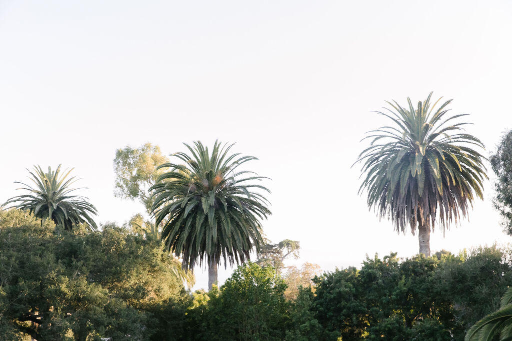 4140 Marina Drive Santa Barbara, CA 93110 - Photo 56 of 80 IL0A8361