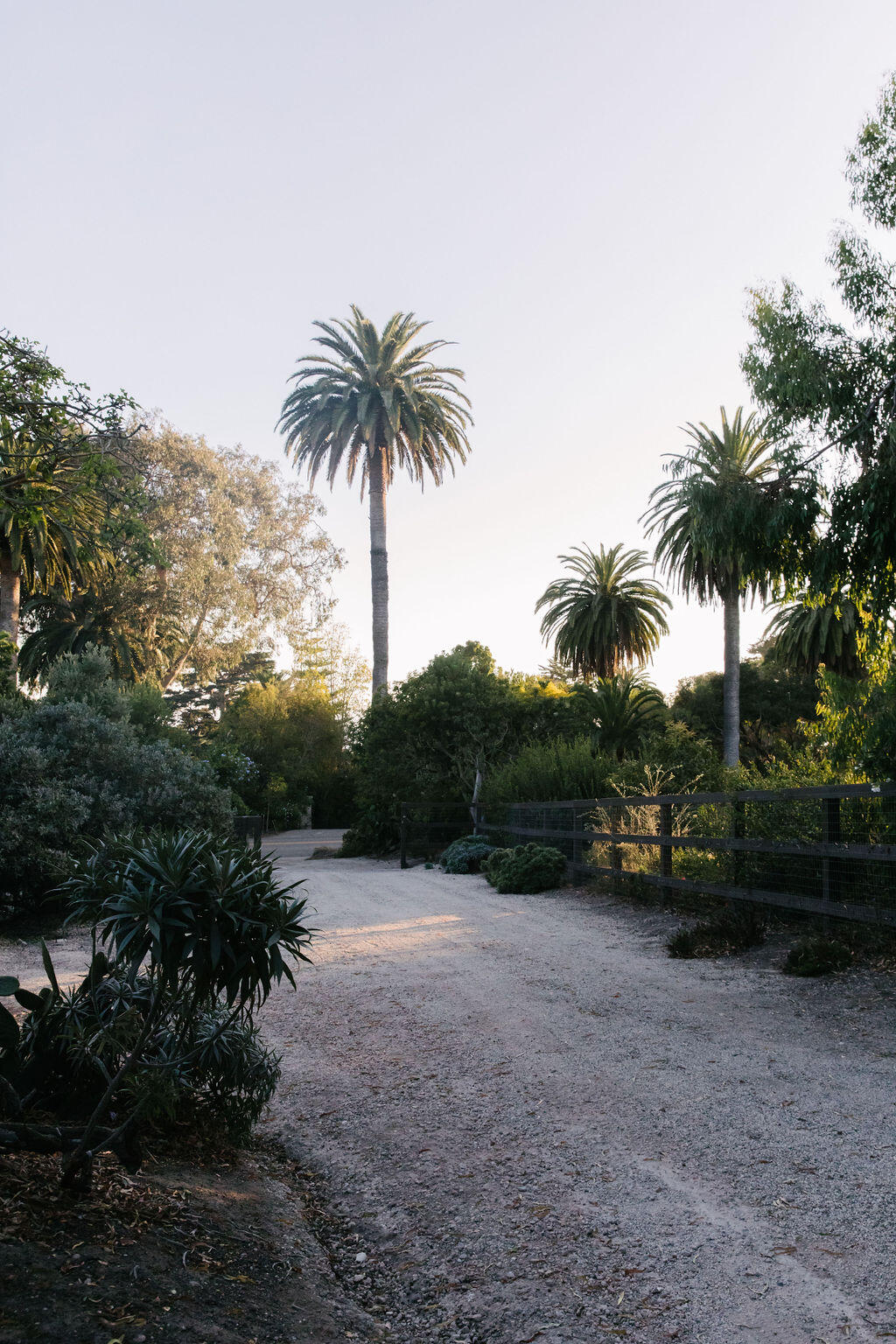 4140 Marina Drive Santa Barbara, CA 93110 - Photo 60 of 80 IL0A8375