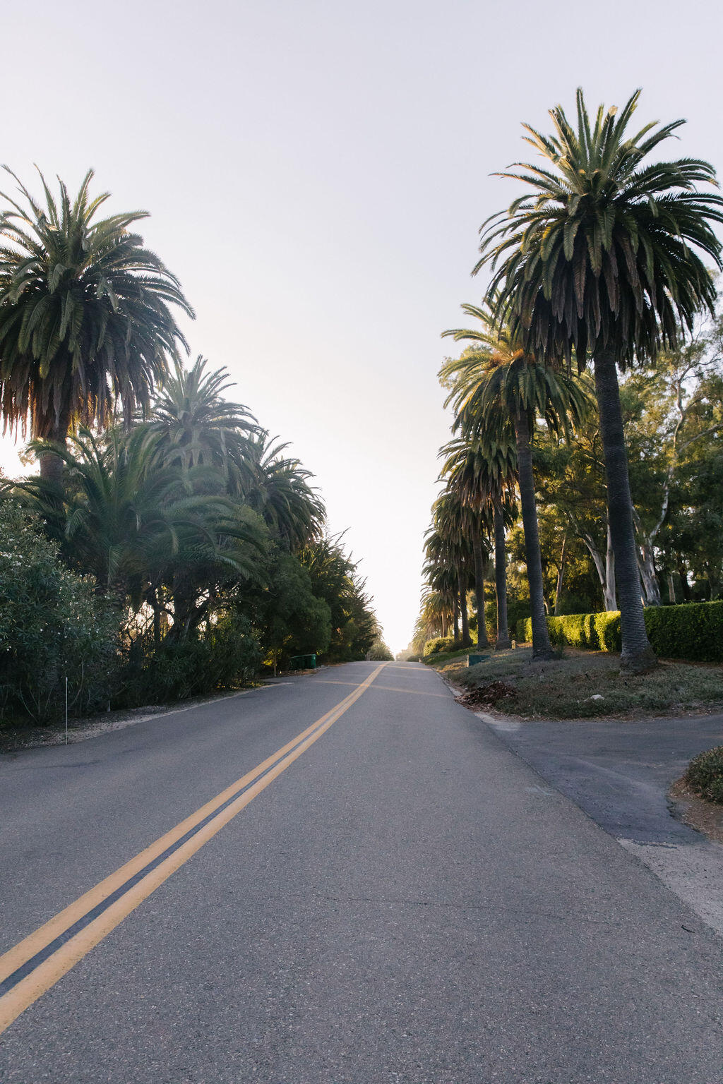 4140 Marina Drive Santa Barbara, CA 93110 - Photo 61 of 80 IL0A8383