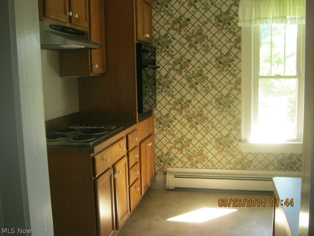166 South Ridge Road East Geneva, OH 44041 - Photo 8 of 25 Gallery Image 8