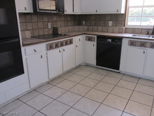19185 Coconut Road Fort Myers, FL 33967 - Photo 7 of 13 a kitchen with a sink and cabinets