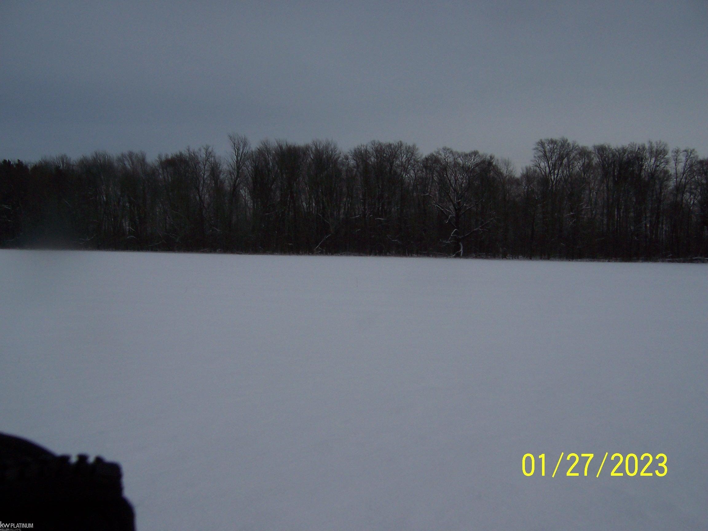 Cove Road Goodells, MI 48027 - Photo 3 of 3
