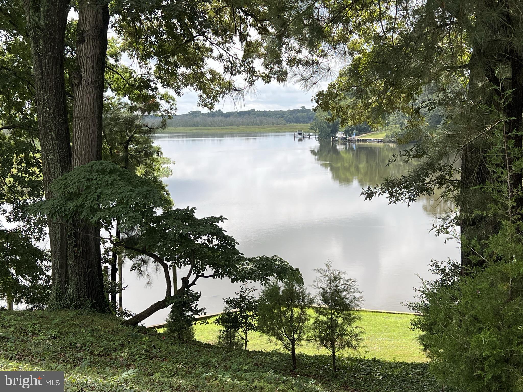 33376 Fox Road Easton, MD 21601 - Photo 9 of 50 Tuckahoe Creek Waterfront