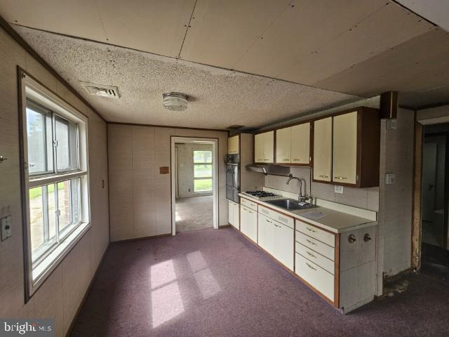1353 Thomson Road Abington, PA 19001 - Photo 6 of 19 Gallery Image 6