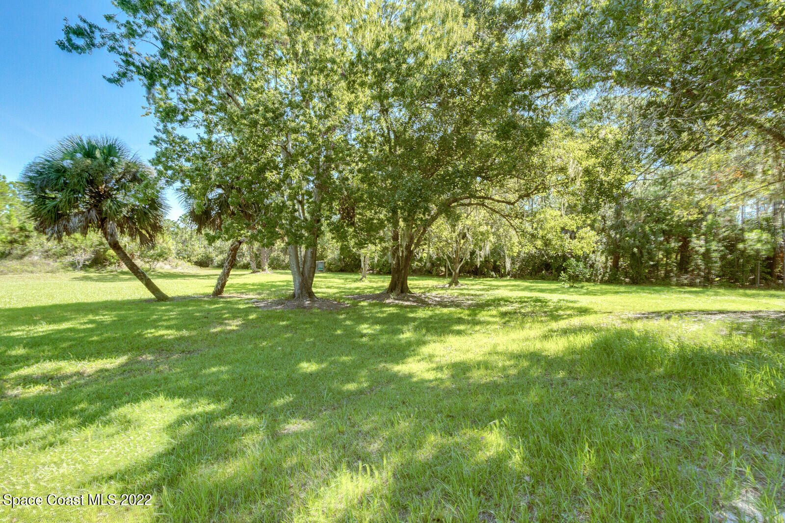 200 Atz Road Malabar, FL 32950 - Photo 11 of 30 a view of yard with trees