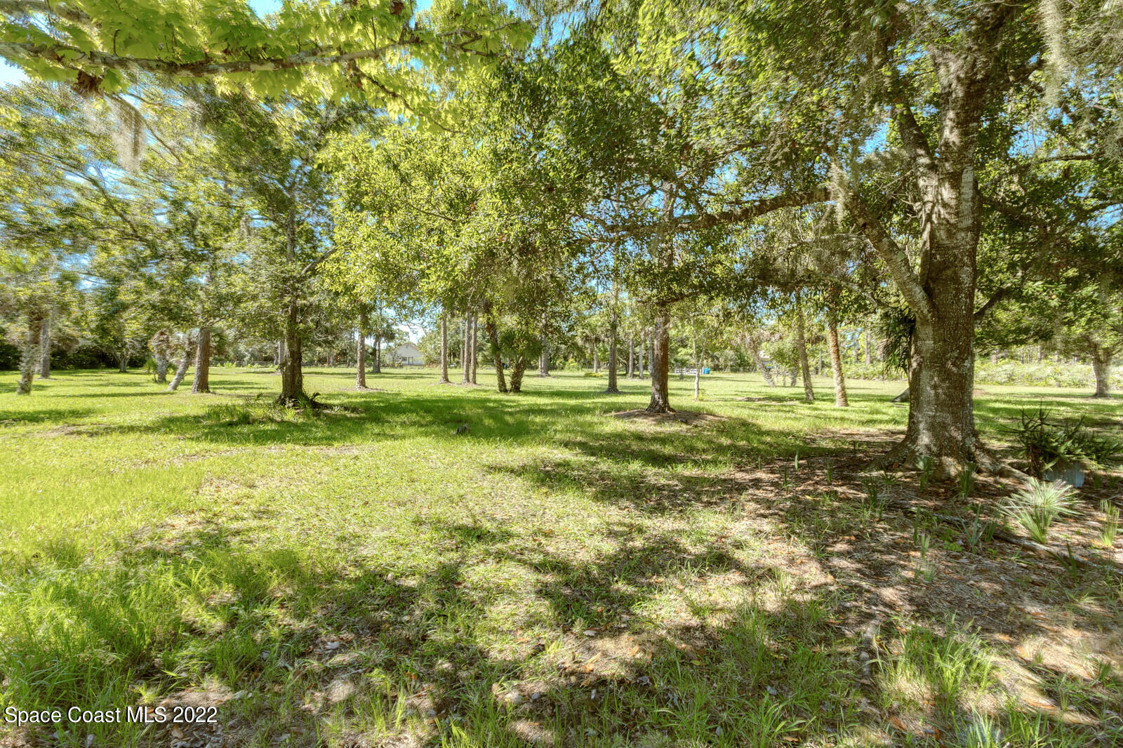 200 Atz Road Malabar, FL 32950 - Photo 12 of 30 a view of grassy field with trees