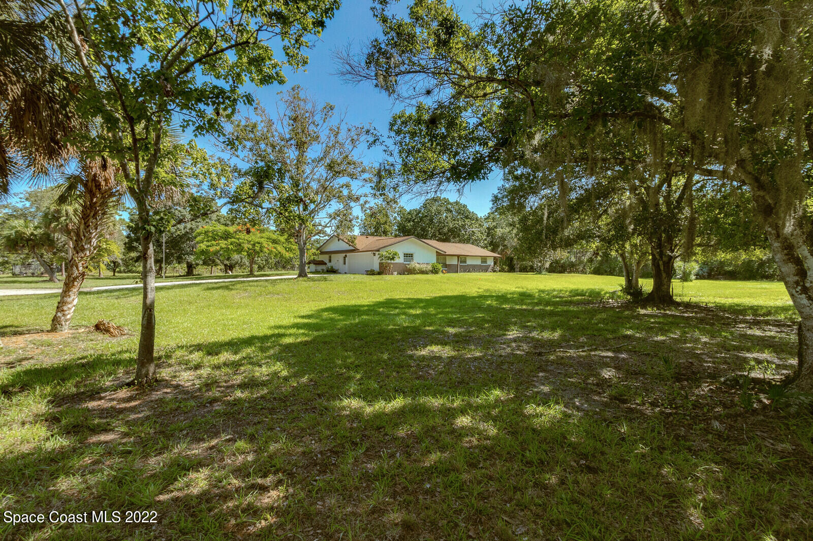 200 Atz Road Malabar, FL 32950 - Photo 5 of 30 a view of a trees with a yard