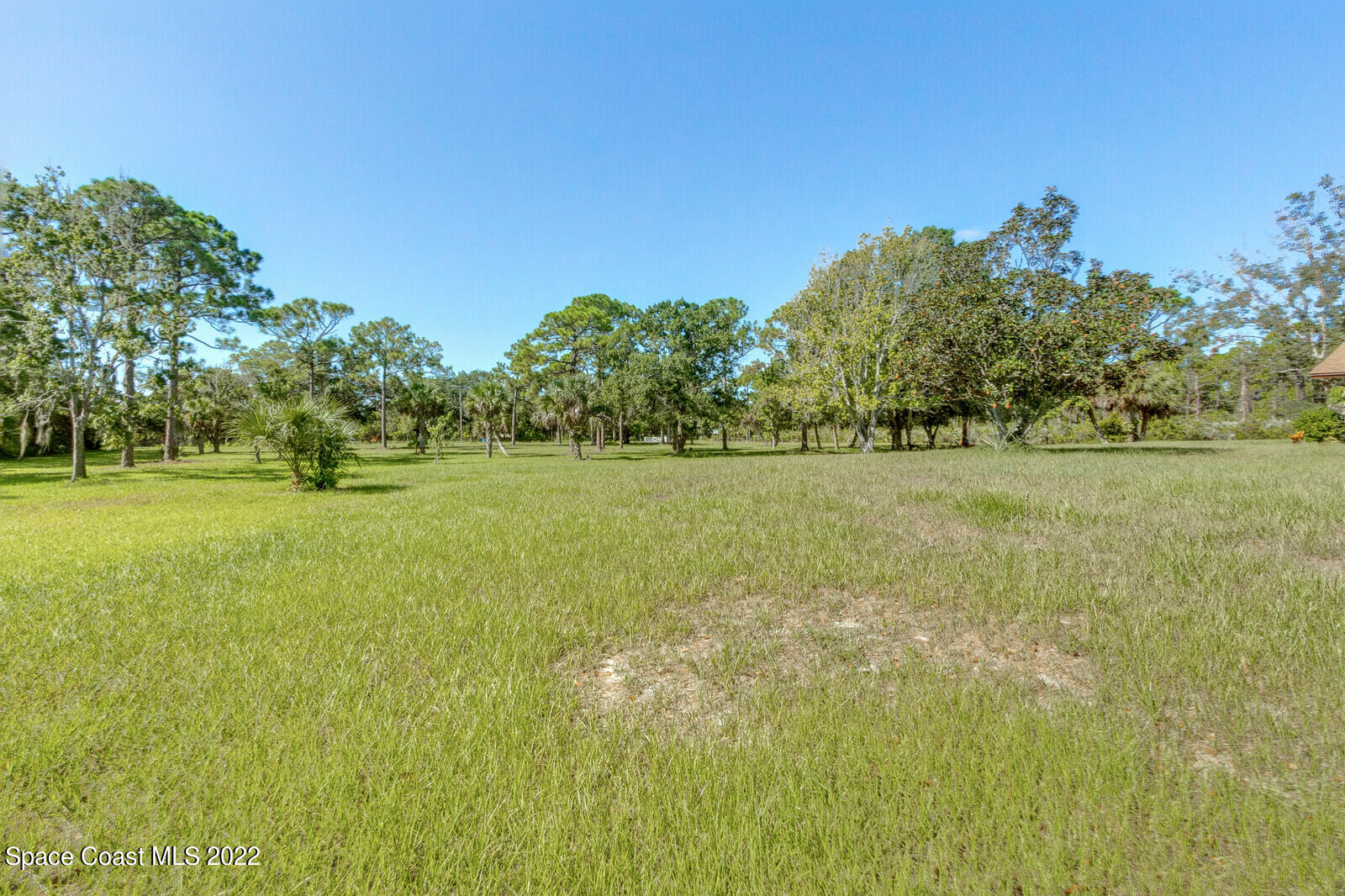 200 Atz Road Malabar, FL 32950 - Photo 10 of 30 a view of a garden with trees