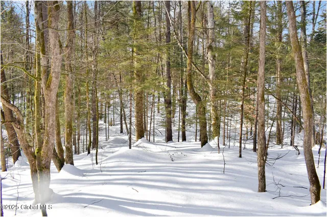 $59,000 | L96 Highview Lane, Unit LOT 12, North Creek, NY 12853