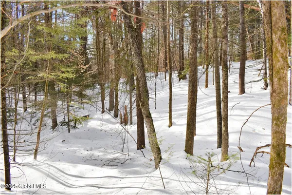 $59,000 | L96 Highview Lane, Unit LOT 12, North Creek, NY 12853