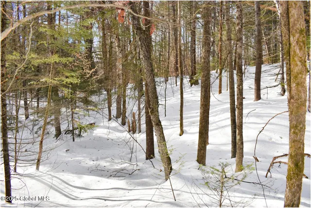 $59,000 | L96 Highview Lane, Unit LOT 12, North Creek, NY 12853