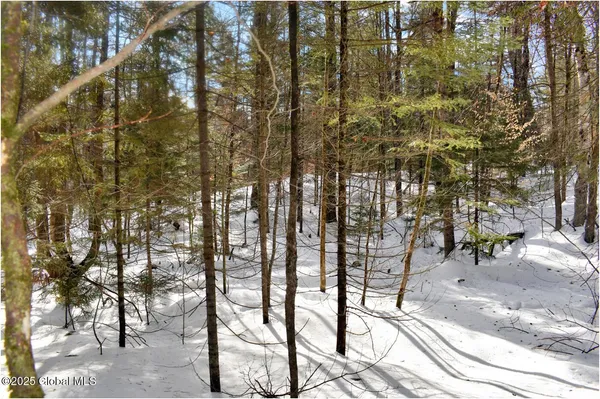 $59,000 | L96 Highview Lane, Unit LOT 12, North Creek, NY 12853