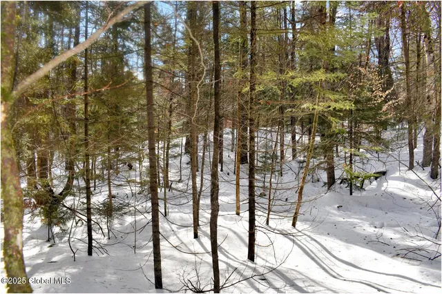 $59,000 | L96 Highview Lane, Unit LOT 12, North Creek, NY 12853