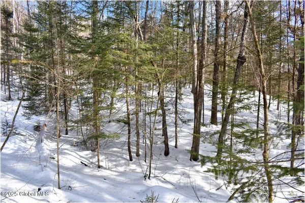 $59,000 | L96 Highview Lane, Unit LOT 12, North Creek, NY 12853
