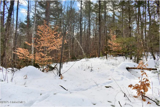 $59,000 | L96 Highview Lane, Unit LOT 12, North Creek, NY 12853