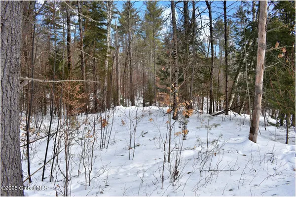 $59,000 | L96 Highview Lane, Unit LOT 12, North Creek, NY 12853