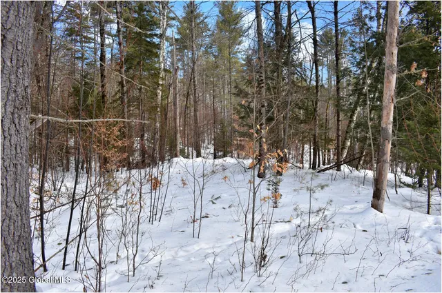 $59,000 | L96 Highview Lane, Unit LOT 12, North Creek, NY 12853