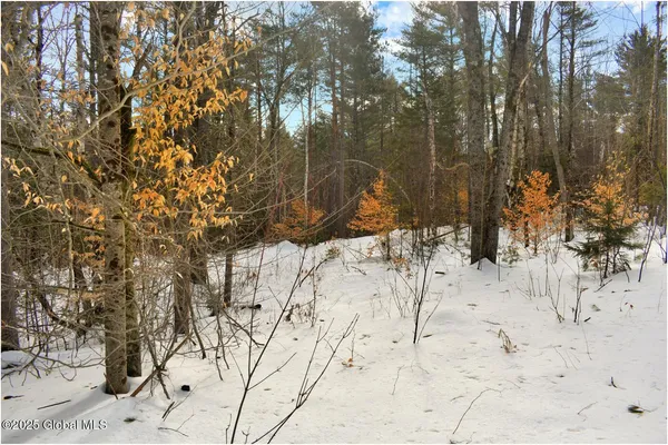 $59,000 | L96 Highview Lane, Unit LOT 12, North Creek, NY 12853