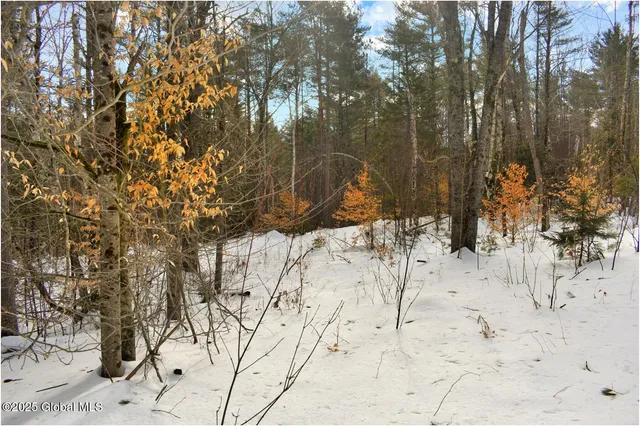 $59,000 | L96 Highview Lane, Unit LOT 12, North Creek, NY 12853