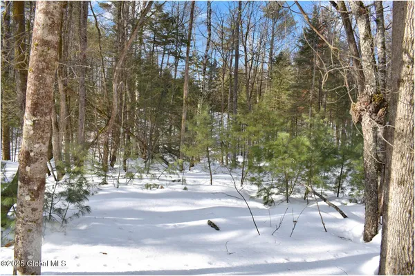 $59,000 | L96 Highview Lane, Unit LOT 12, North Creek, NY 12853