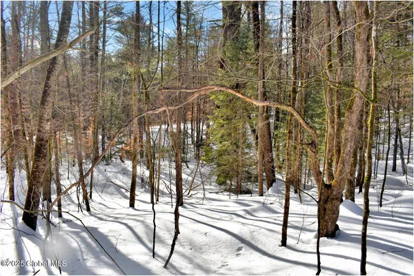 $59,000 | L96 Highview Lane, Unit LOT 12, North Creek, NY 12853