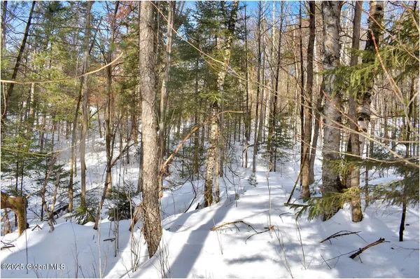 $59,000 | L96 Highview Lane, Unit LOT 12, North Creek, NY 12853