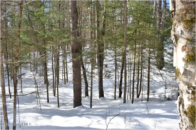 $59,000 | L96 Highview Lane, Unit LOT 12, North Creek, NY 12853