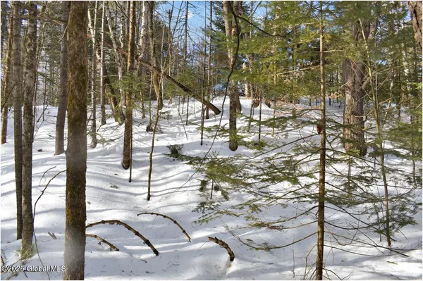 $59,000 | L96 Highview Lane, Unit LOT 12, North Creek, NY 12853