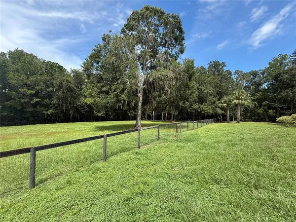 a view of a field with trees in the background