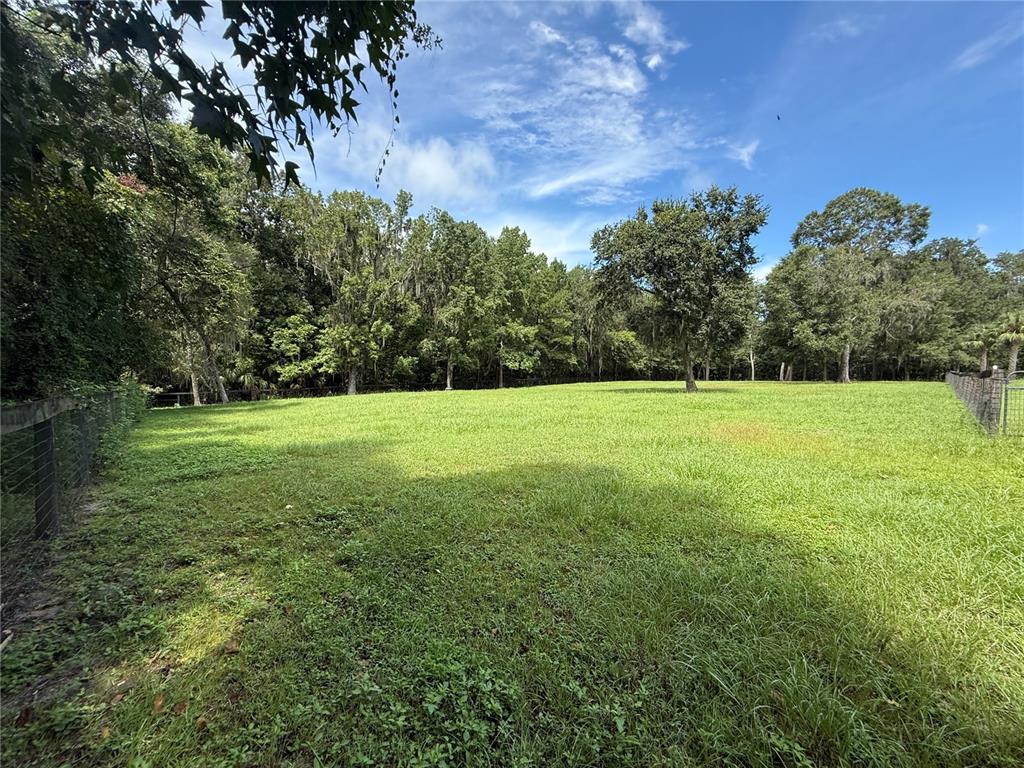 19260 Northwest 88th Avenue Road Reddick, FL 32686 - Photo 35 of 41 a view of a field with trees in the background