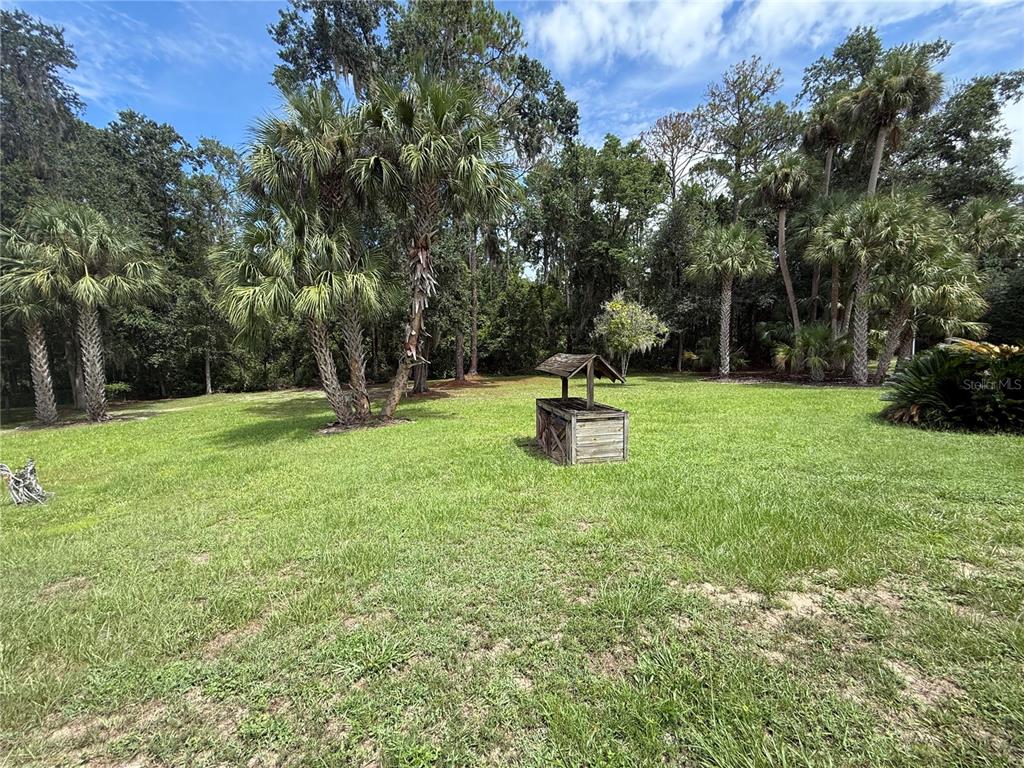 19260 Northwest 88th Avenue Road Reddick, FL 32686 - Photo 37 of 41 a view of a park with large trees