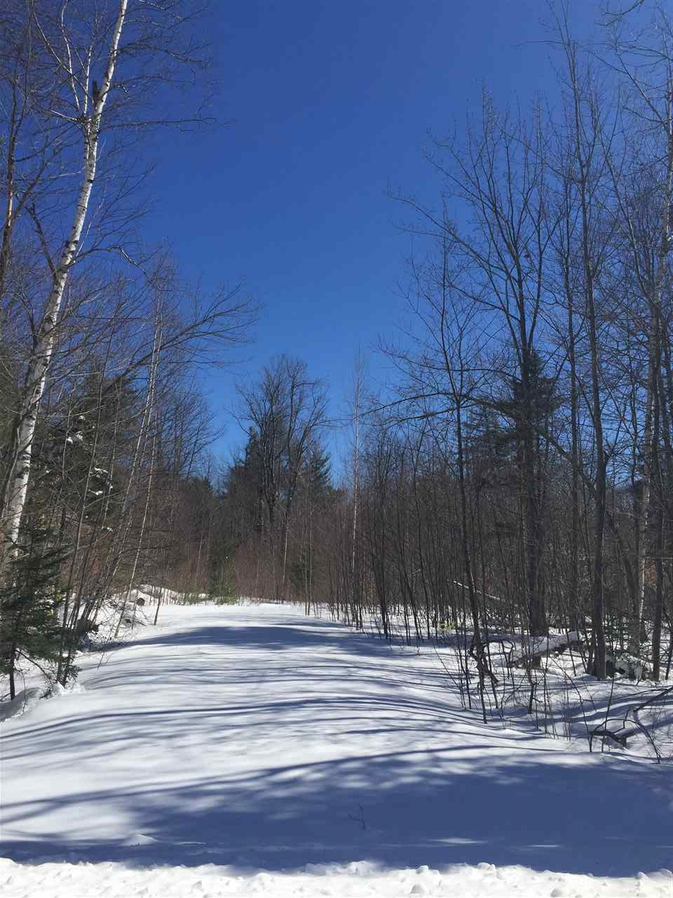 66-69 South Hidden Lake Road Stoddard, NH 03464 - Photo 1 of 7 Gallery Image 1